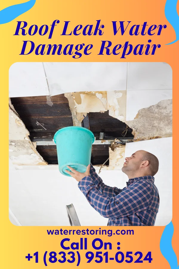 Roof Leak Water Damage Repair in Montour, IA